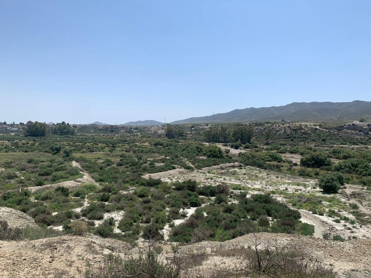 Las Casas Rurales De Los Olivos 타베르나스 외부 사진